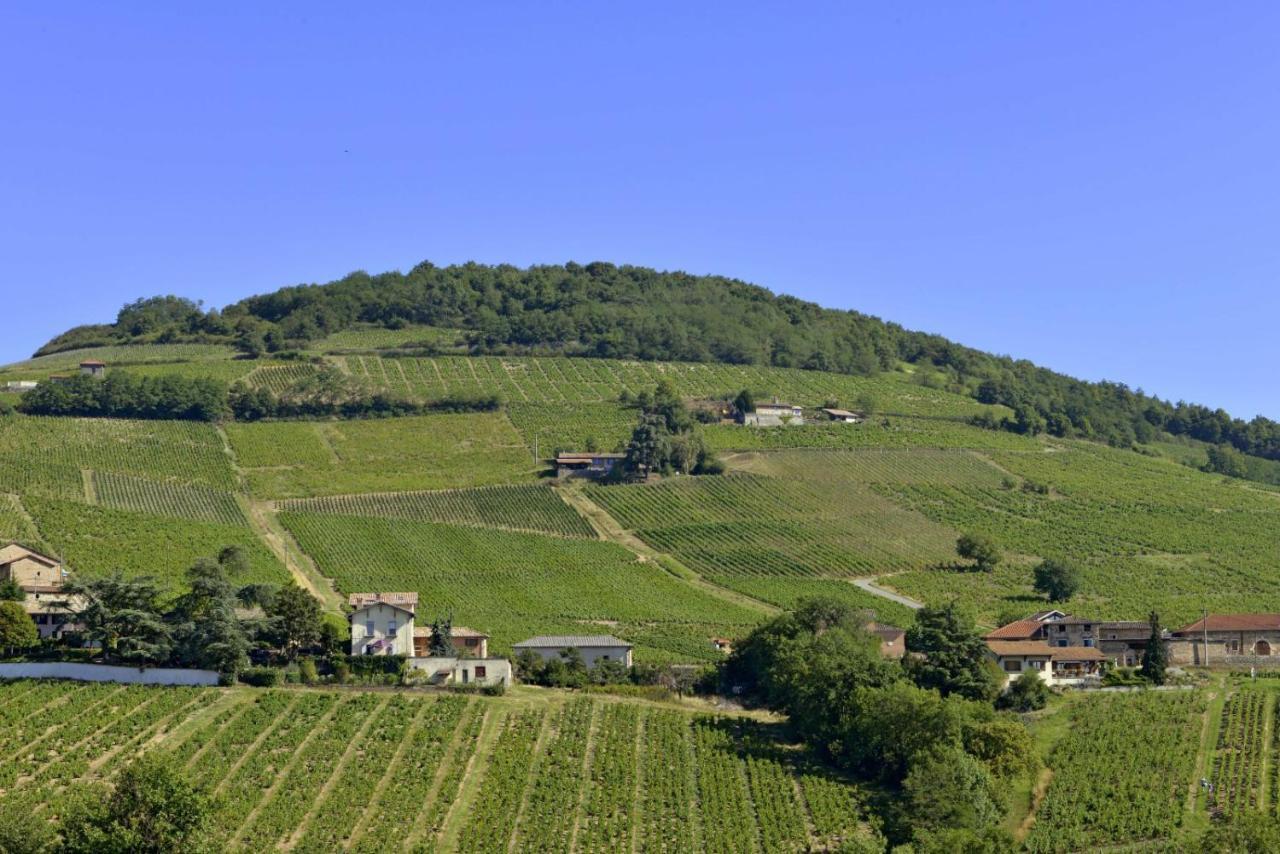 Appartement Cosy Au Coeur Du Beaujolais Saint-Lager Екстериор снимка